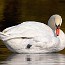 thumbs/IMG_1201.jpg